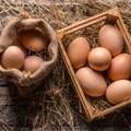 Pasture Raised Organic Eggs